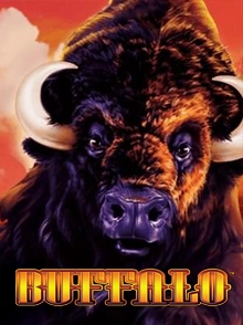 Buffalo