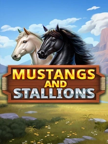Mustangs And Stallions
